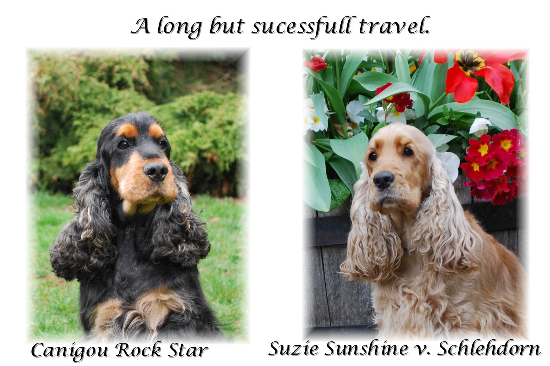 Suzie Rocky Travel